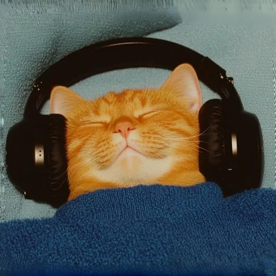 Student Wang who passed Tokyo University